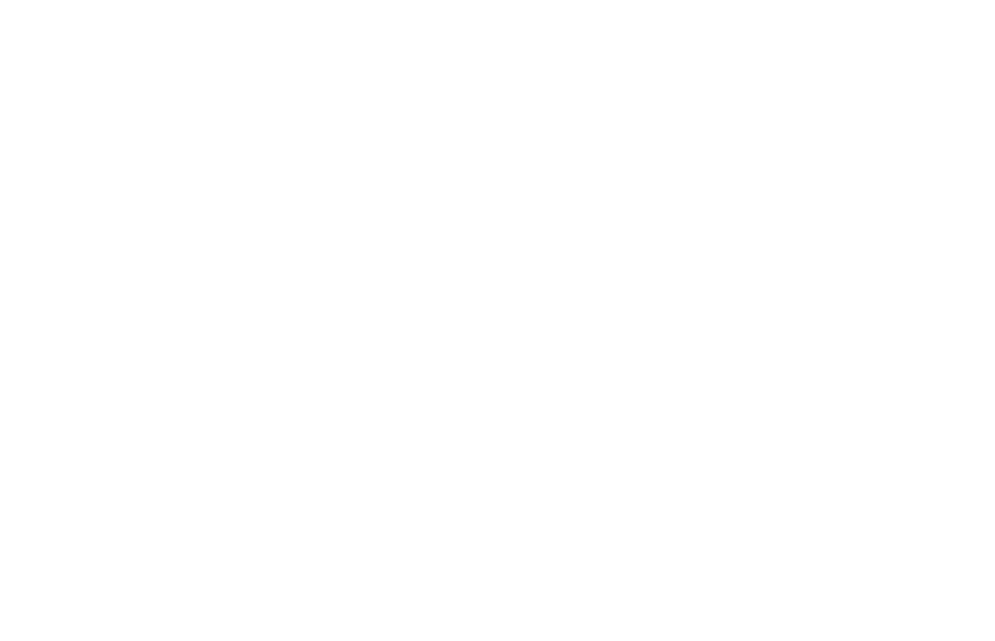 pellegrino-1