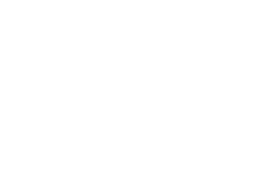 pellegrino